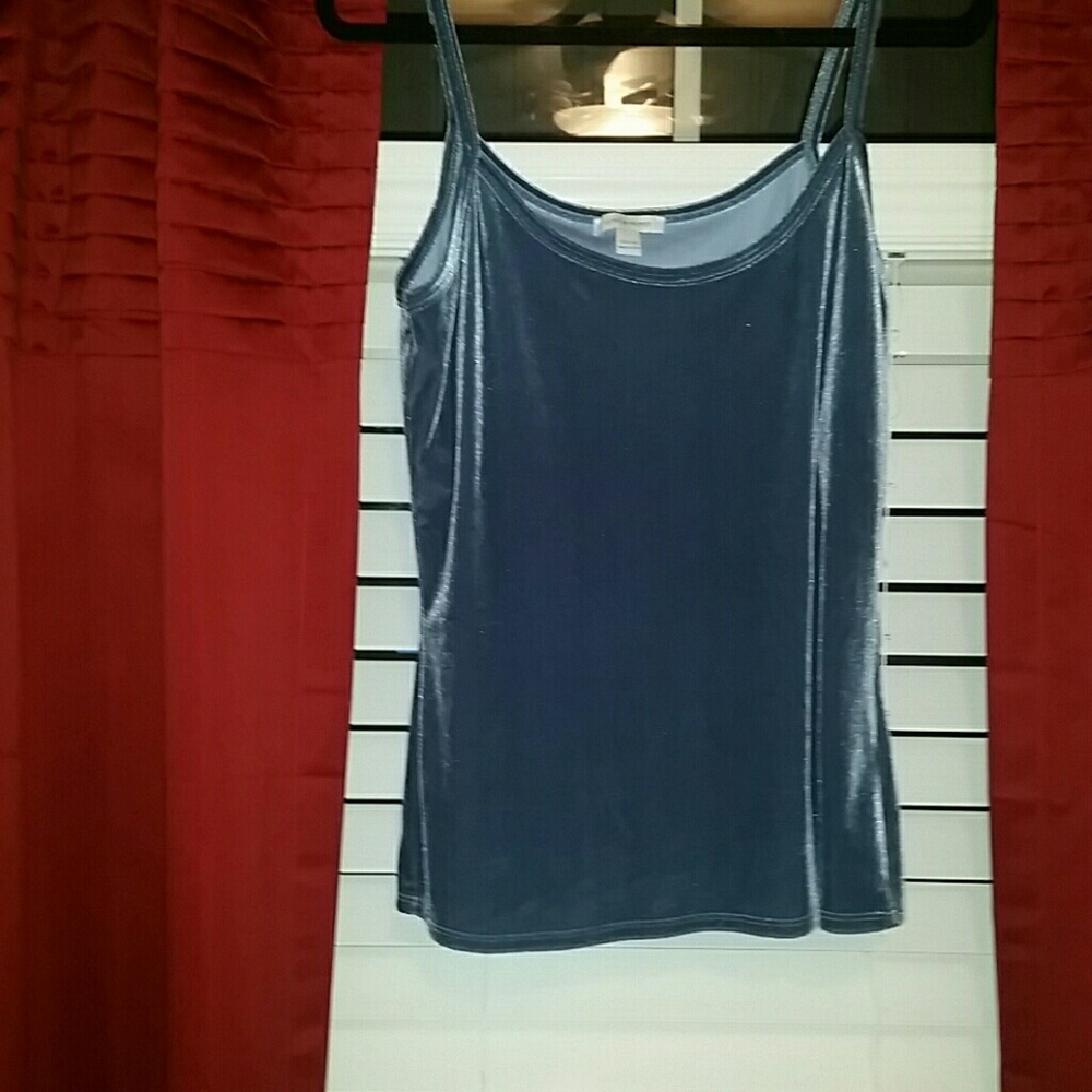 SALE 3 FOR $15 Boston Proper Velvet Tank Top